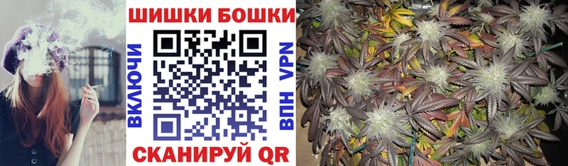 Каннабис сатива  цена   Звенигород 